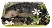 Opakowanie Puszka średnia prostokąt Jeż Prickly