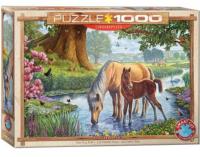 Opakowanie Puzzle 1000 Dzikie konie