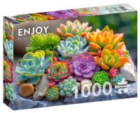 Opakowanie Puzzle 1000 Sukulenty