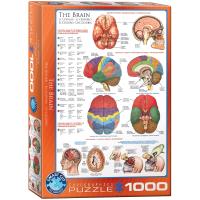 Puzzle 1000 The Brain 6000-0256. Wydawca: Eurographics. SmakLiter.pl Opakowanie Puzzle 1000 The Brain 6000-0256