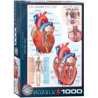Puzzle 1000 The Heart 6000-0257. Wydawca: Eurographics. SmakLiter.pl Opakowanie Puzzle 1000 The Heart 6000-0257