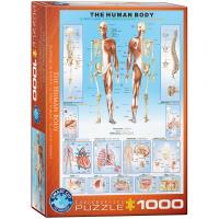 Opakowanie Puzzle 1000 The Human Body 6000-1000