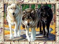 Puzzle 1000 Wilki. Wydawca: Graf-ika. SmakLiter.pl Opakowanie Puzzle 1000 Wilki