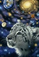 Puzzle 1500 Jeden z wszechświatem, Schim Schimmel. Wydawca: Grafika. SmakLiter.pl Opakowanie Puzzle 1500 Jeden z wszechświatem, Schim Schimmel