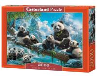Opakowanie Puzzle 2000 Pandas' Winter Fun