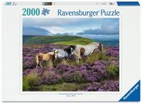Opakowanie Puzzle 2000 Wild Horses in the Heather