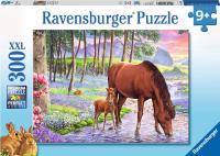 Opakowanie Puzzle 300 Konie o zachodzie słońca