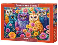 Puzzle 3000 Flower Owl Meeting CASTOR. Wydawca: Castorland. SmakLiter.pl Opakowanie Puzzle 3000 Flower Owl Meeting CASTOR