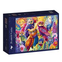 Puzzle 4000 Kolorowe sowy. Wydawca: Bluebird Puzzle. SmakLiter.pl Opakowanie Puzzle 4000 Kolorowe sowy