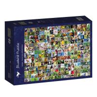 Puzzle 4000 Najpiękniejsze ptaki świata. Wydawca: Bluebird Puzzle. SmakLiter.pl Opakowanie Puzzle 4000 Najpiękniejsze ptaki świata