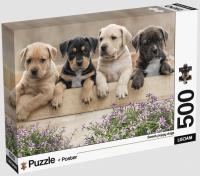 Opakowanie Puzzle 500 Adults Szczeniaki