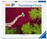Opakowanie Puzzle 500 Sea of Red