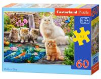 Opakowanie Puzzle 60 Perfect Day CASTOR