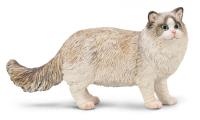 Opakowanie Ragdoll