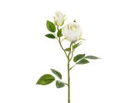 Opakowanie Róża z dwoma pąkami 55cm