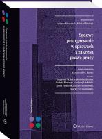 Sądowe postępowanie w sprawach z zakresu prawa pracy. Autor: Błaszczak Łukasz, Baran Krzysztof Wojciech, Prusinowski Piotr, Andrzej Jabłoński, Izabela Florczak, Anna Piszczek, Bieniek Bohdan, Bieniak Michał, Marek Szymanowski, Krzysztof Bieniek. SmakLiter.pl Okładka książki Sądowe postępowanie w sprawach z zakresu prawa pracy