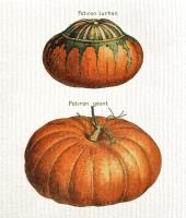 Ściereczka kuchenna Dynie. Wydawca: Skona Ting. SmakLiter.pl Opakowanie Ściereczka kuchenna Dynie