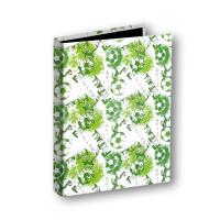 Opakowanie Segregator A5/2 T0129 Football PENMATE