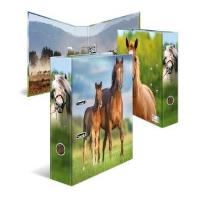 Opakowanie Segregator Koń 7cm