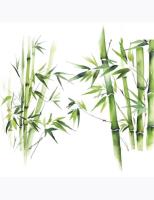 Opakowanie Serwetki DAISY Lunch SD 330x330 Bambusy 044401