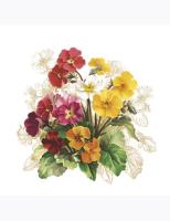 Opakowanie Serwetki DAISY Lunch SD 330x330 Kwiaty 009701