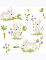 Opakowanie Serwetki DAISY Lunch SD 330x330 Wielkanoc 012901