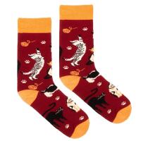 Opakowanie Skarpetki bawełna organiczna koty bordowe 36-41