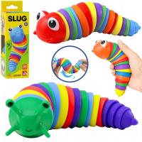 Opakowanie Ślimak segmentowy kolorowy MIX