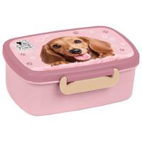 Opakowanie Śniadaniówka Cleo i Frank 46 DERFORM