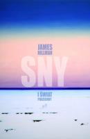 Sny i świat podziemny w.2. Autor: James Hillman. SmakLiter.pl Okładka książki Sny i świat podziemny w.2