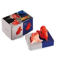 Opakowanie Solniczka i pieprzniczka Fishes for Dishes