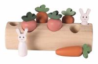 Opakowanie Sorter Marchewkowy Ogródek Królików