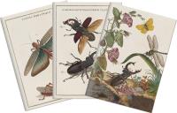 Opakowanie Stone 504 Zestaw 3 notatników A6 - owady