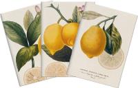 Opakowanie Stone 506 Zestaw 3 notatników A6 - cytryna