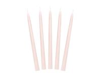Opakowanie Świeca stożkowa matowa nude 24cm 10szt
