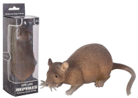 Opakowanie Szczur
