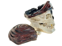 Szkatułka czaszka pirata. Wydawca: ADAR. SmakLiter.pl Opakowanie Szkatułka czaszka pirata