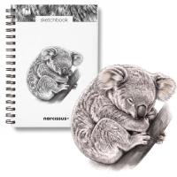 Opakowanie Szkicownik B5/60K na spirali - Koala