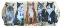 Opakowanie Taca średnia Koty