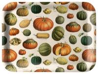 Tacka kuchenna ozdobna Dynie. Wydawca: Skona Ting. SmakLiter.pl Opakowanie Tacka kuchenna ozdobna Dynie