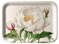 Opakowanie Tacka kuchennka ozdobna Biała Piwonia