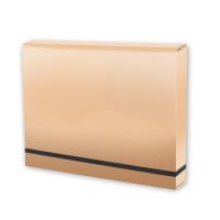 Opakowanie Teczka A4 lux na gumkę beżowa PENMATE