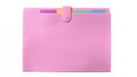 Opakowanie Teczka A4 PP harmonijkowa pastel różowy