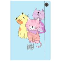 Opakowanie Teczka A4 z gumką Genius Kitty (10szt)