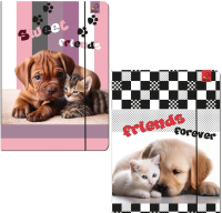 Teczka A4 z gumką Psy Koty mix. Wydawca: Bee-bee. SmakLiter.pl Opakowanie Teczka A4 z gumką Psy Koty mix