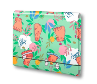 Opakowanie Teczka łamana A4 na gumkę Kapibara łąka PENMATE