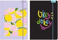 Teczka z gumką A4 Priplak mix. Wydawca: Beniamin. SmakLiter.pl Opakowanie Teczka z gumką A4 Priplak mix