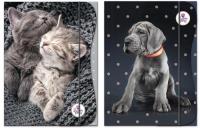 Opakowanie Teczka z gumką A4 The Sweet Pets