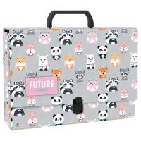 Opakowanie Teczka z rączką gruba DF 27