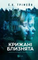 Okładka książki The Ice Twins w.ukraińska